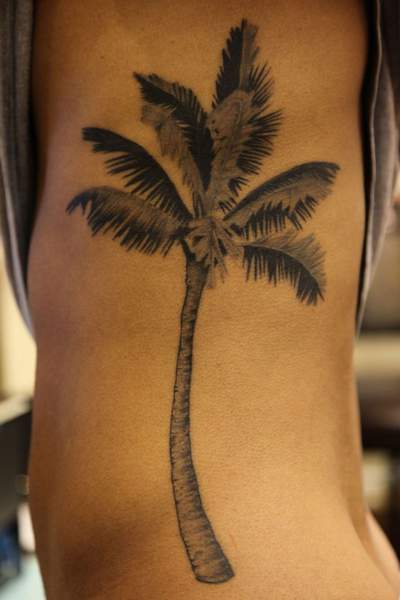 Nice Grey Ink Palm Tree Tattoo On Rib Side