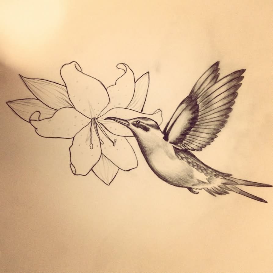 Outline Flower And Colibri Tattoo Design by Sarahmargrethe