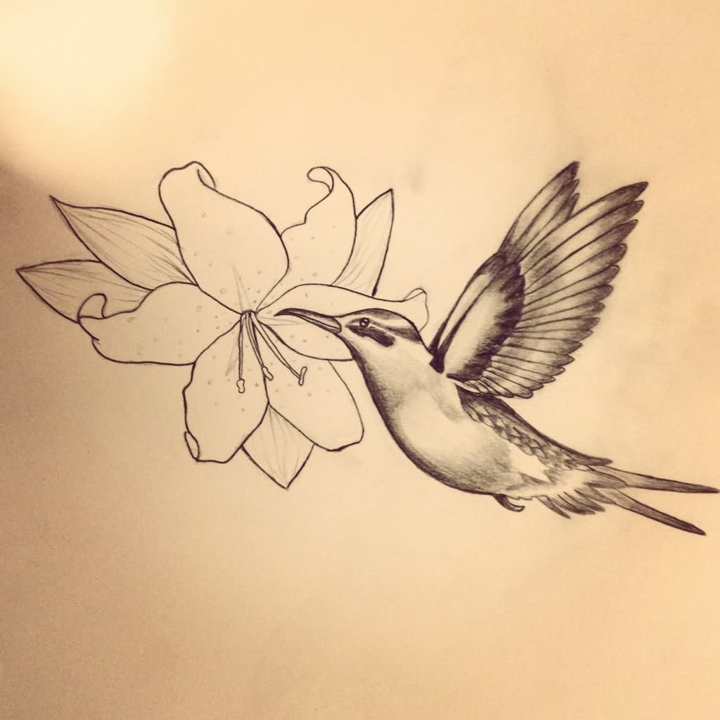 Outline Flower And Tribal Colibri Tattoo Design by Sarahmargrethe