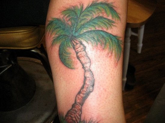 Palm Tree Tattoo On Arm Sleeve