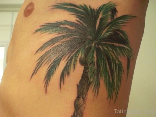 Palm Tree Tattoo On Left Rib Side