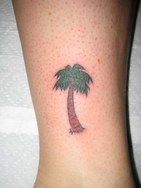 Palm Tree Tattoo On Leg