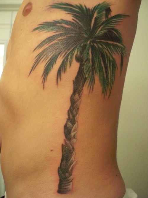 Palm Tree Tattoo On Man Left Rib Side