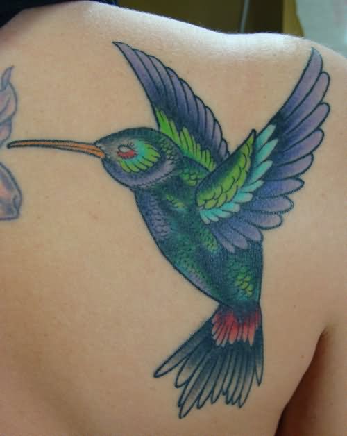 Right Back Shoulder Flying Colibri Tattoo