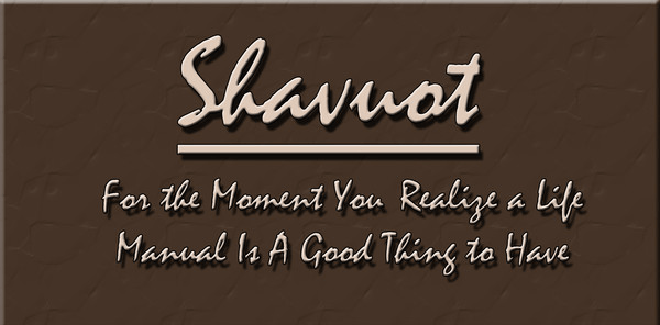 Shavuot The Moment You Realize A Life Manual Is A Good Thing To Have