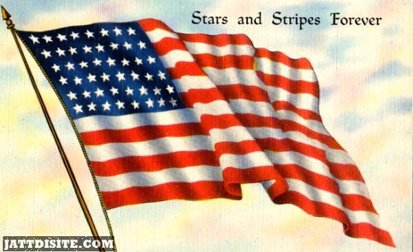 Stars And Stripes Forever On Flag Day