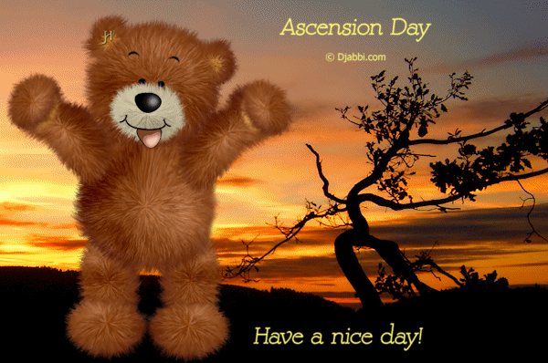 Teddy Bear Wishing You Happy Ascension Day Have A Nice Day