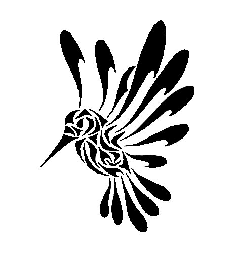 Tribal Colibri Tattoo Design