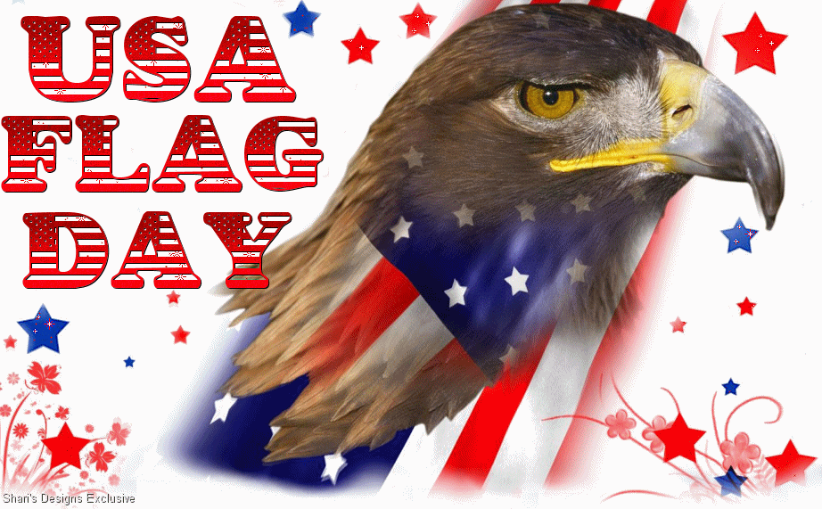 USA Flag Day Eagle Face Glitter