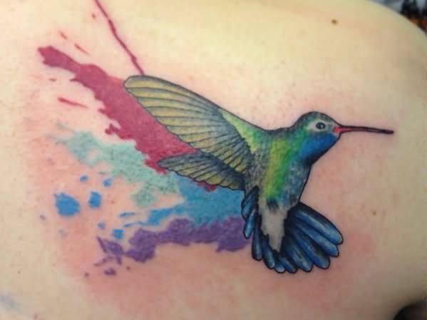 Watercolor Colibri Tattoo On Right Back Shoulder