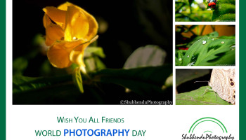 Wish You All Friends World Photography Day