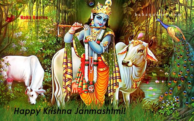 Wishing You Happy Krishna Janmashtami