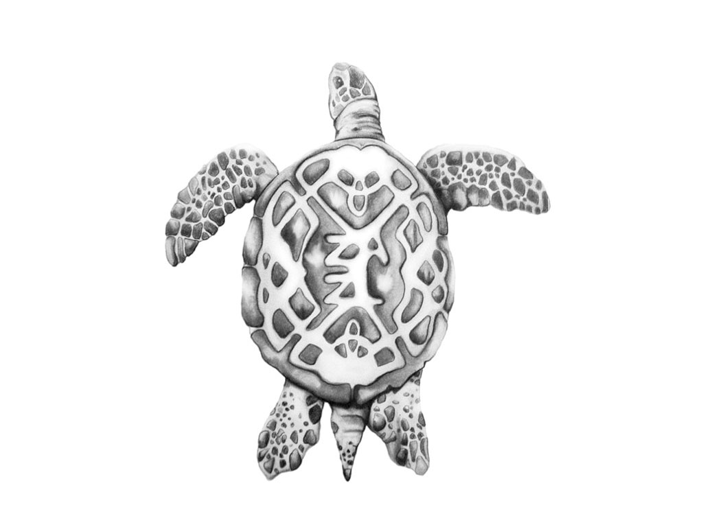 Awesome Black And Grey Turtle Tattoo Design