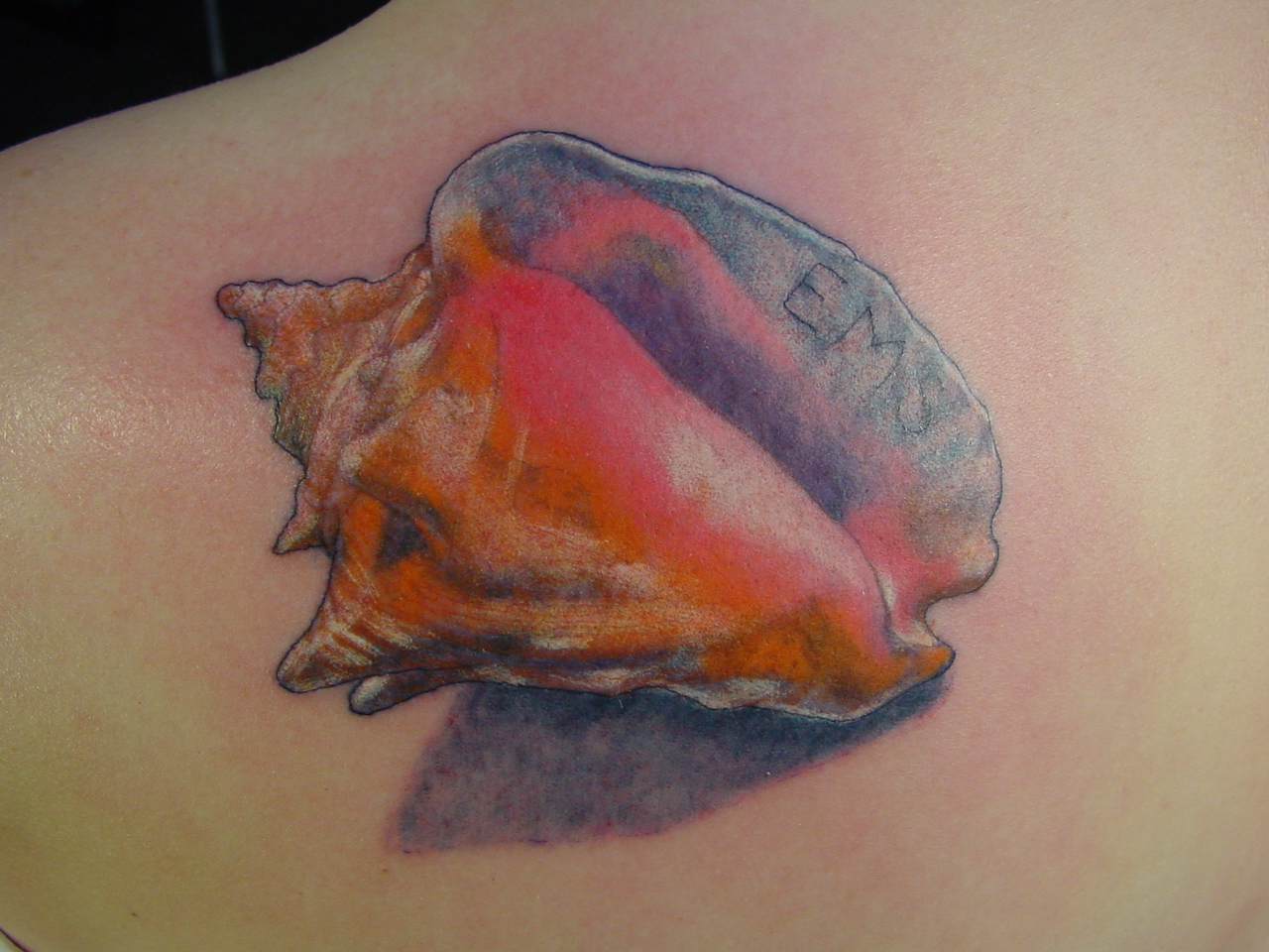 Beautiful Conch Tattoo On Back Shoulder