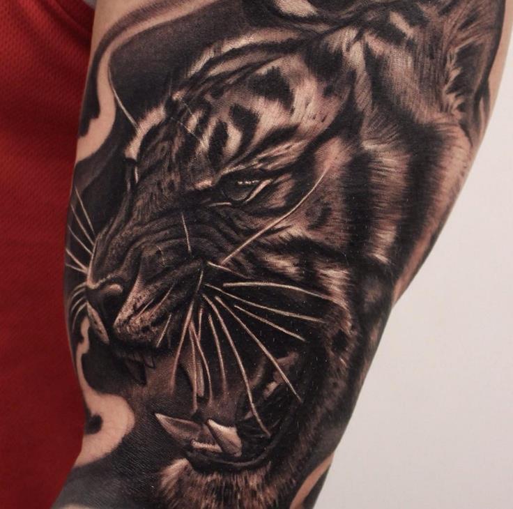 Black And Grey Angry Tiger Tattoo On Bicep