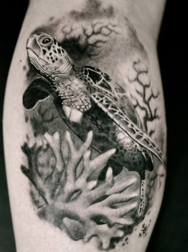 Black And Grey Sea Turtle Tattoo On Calf