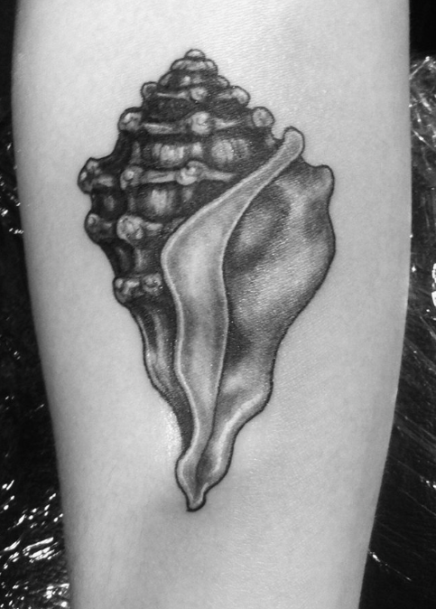 Black And White Conch Shell Tattoo