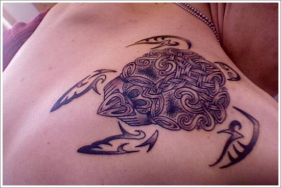 Celtic Turtle Tattoo On Man Right Back Shoulder