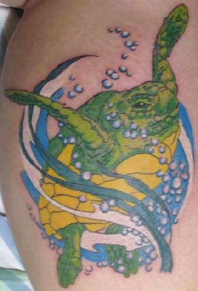 Colored Turtle Tattoo Design For Leg