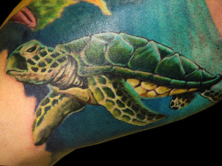 Colorful Turtle Tattoos On Bicep