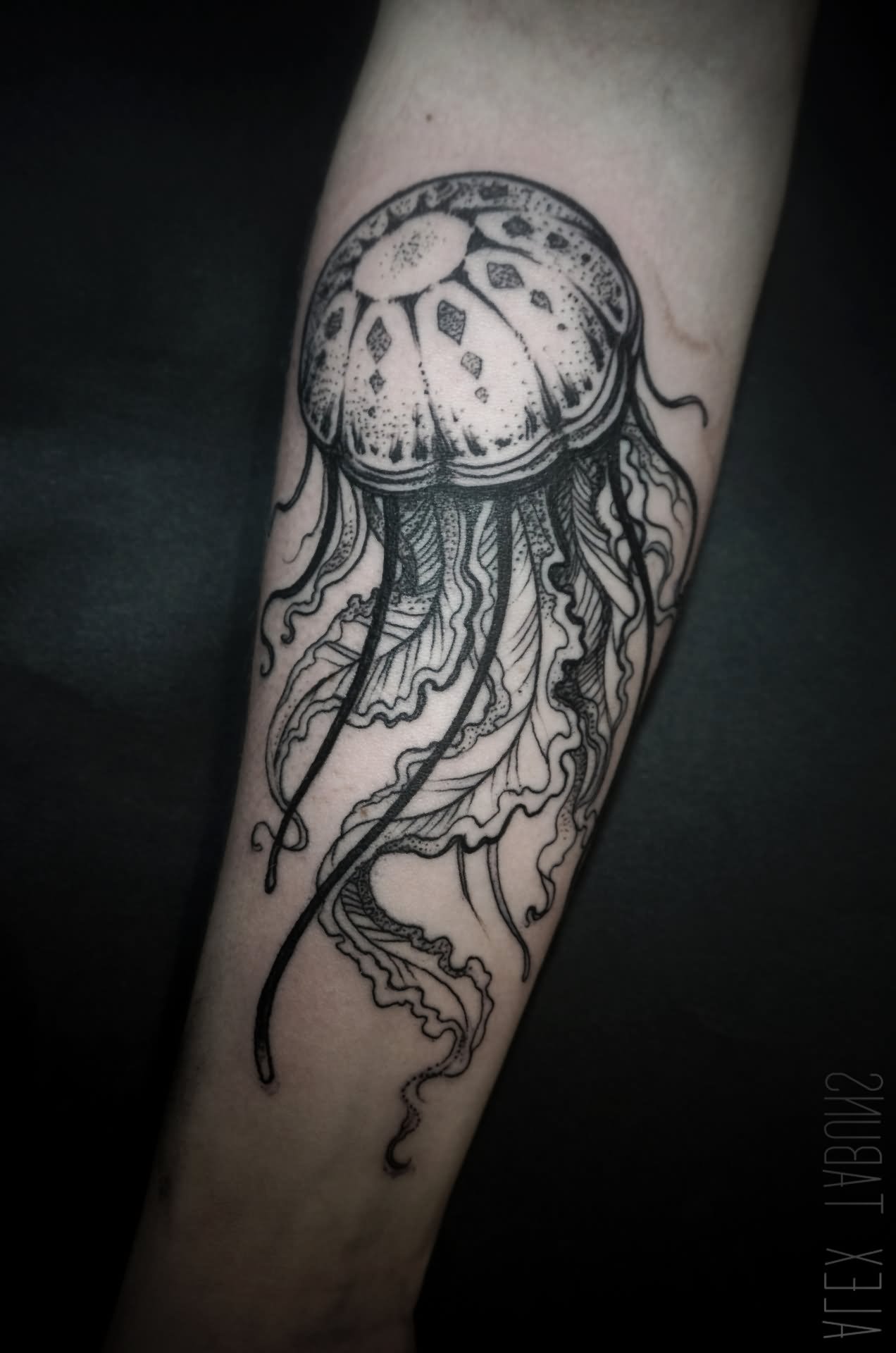 Dotwork Jellyfish Tattoo On Forearm