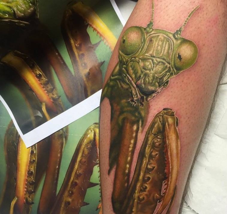 Green Ink Mantis Tattoo On Leg