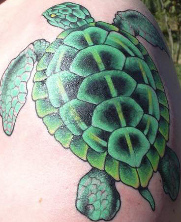 Green Ink Turtle Tattoo On Left Shoulder