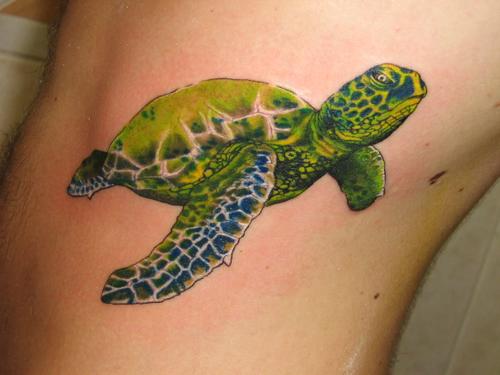 Green Turtle Tattoo Image