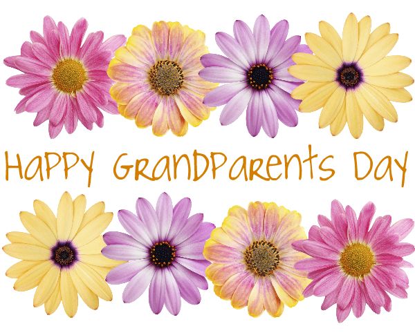 Happy Grandparents Day Flowers Picture