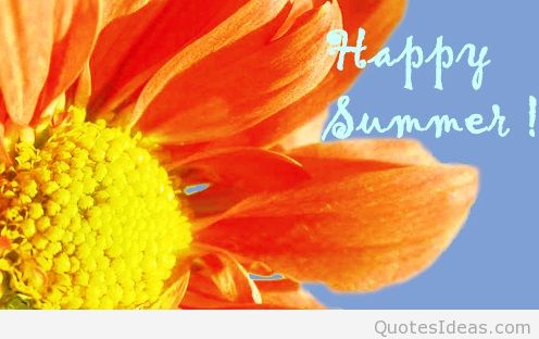 Happy Summer Wishes Image