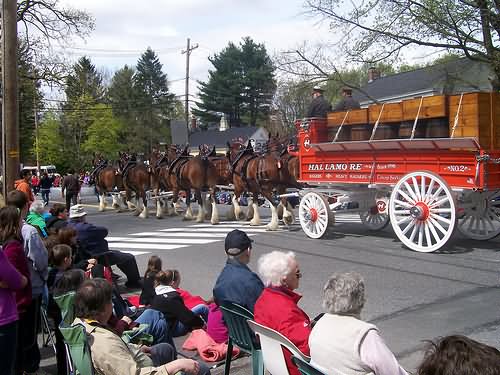 Horse Carts During The Patriot Day Parade