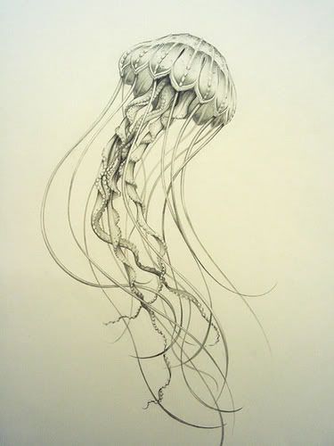 Nice Jellyfish Tattoo Design