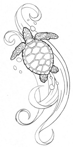 Outline Turtle Designs Sample