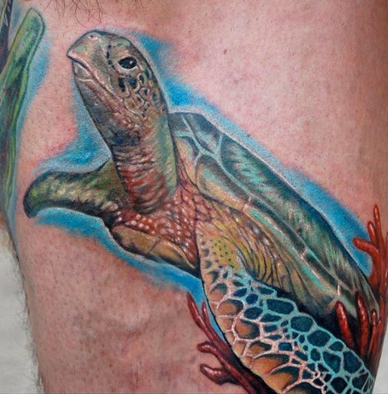 Realistic Turtle Tattoo Image