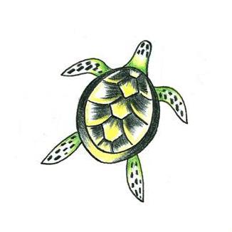 Small Turtle Tattoo Design