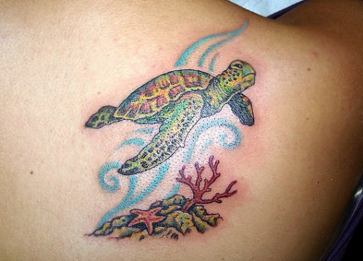 Turtle Tattoo On Right Back Shoulder