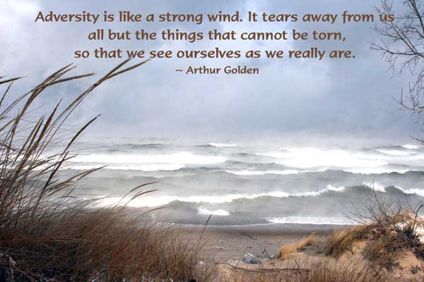 Adversity is like a strong wind. It tears away from us all but the things that cannot be torn, so that we see ourselves as we really are. - Arthur Golden
