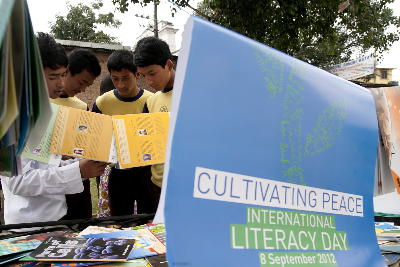 Cultivating Peace International Literacy Day Poster
