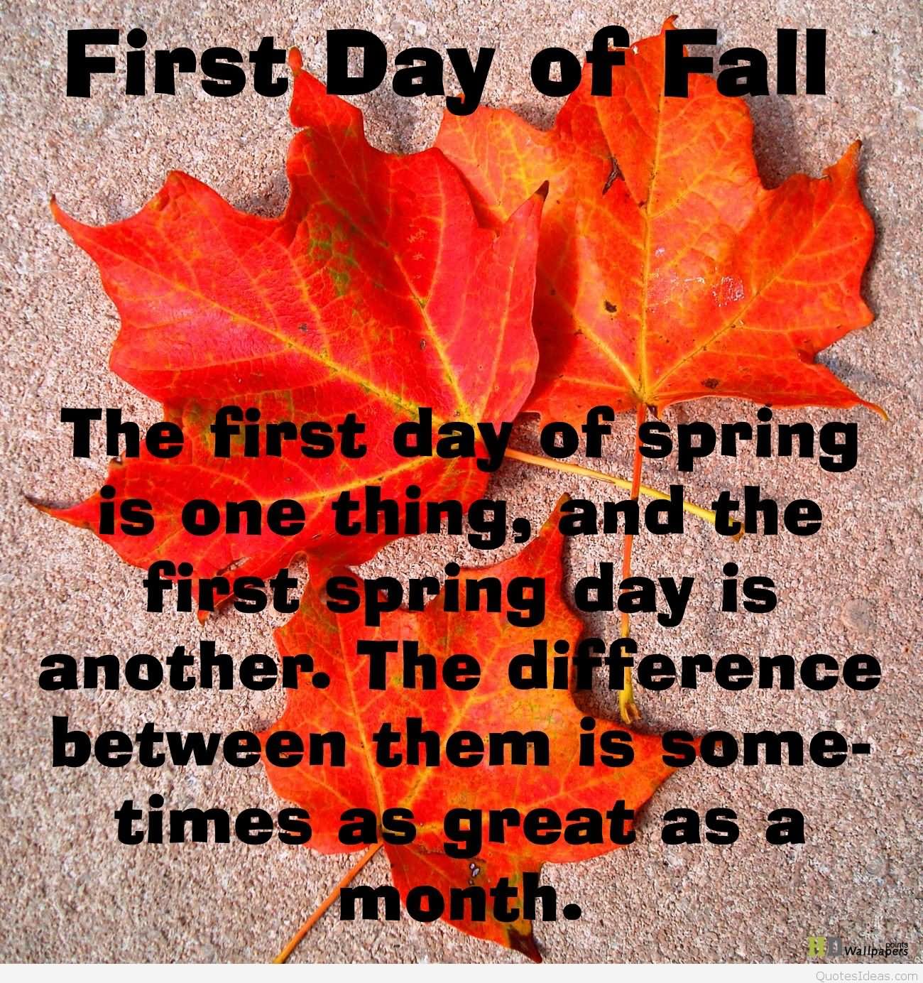 60 Beautiful First Day Of Fall Wishes Images And Photos