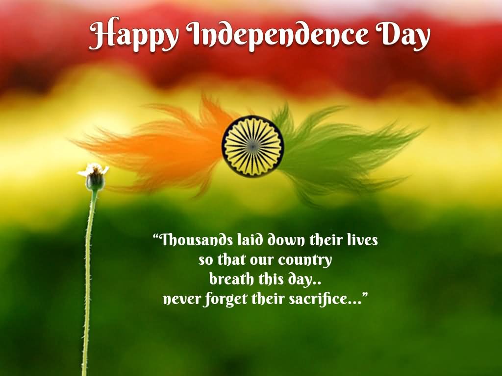 Happy Independence Day Thousands Laid Down Their Lives So That Our Country Breath This Day Never Forget Their Sacrifice