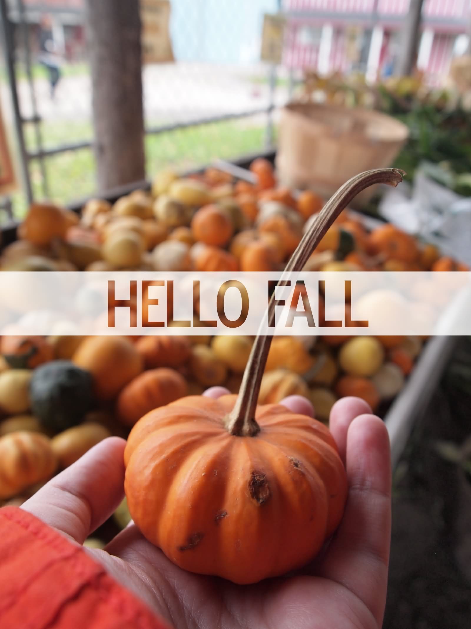Hello First Day of Fall Wishes Pumpkin Picture