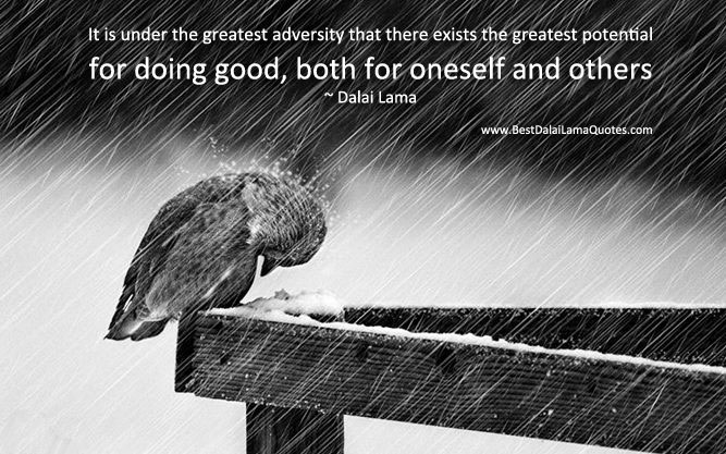 It is under the greatest adversity that there exists the greatest potential for doing good, both for oneself and others.  - Dalai Lama