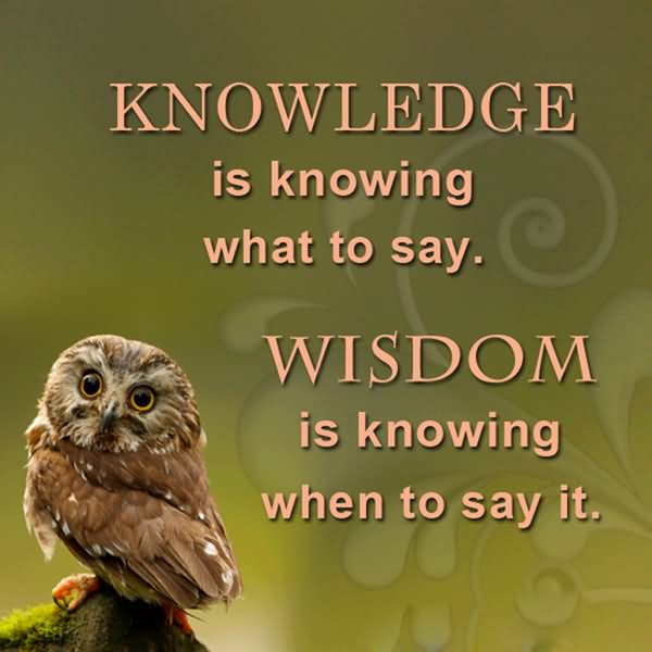 Knowledge is knowing what to say. Wisdom is knowing when to say it.