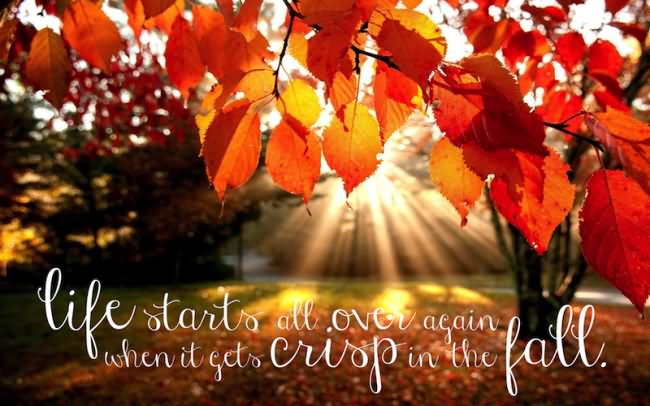 Life Start All Over Again When It Gets Crisp In The Fall Happy First Day of Fall