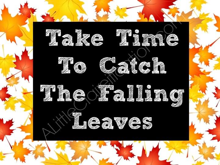 Take Time To Catch The Falling Leaves Happy First Day Of Fall