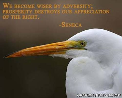 We become wiser by adversity; prosperity destroys our appreciation of the right.