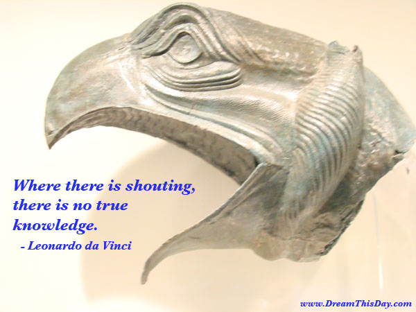 Where there is shouting there is no true knowledge  - Leonardo da Vinci