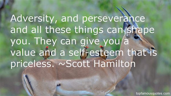 Adversity, and perseverance and all these things can shape you. They can give you a value and a self-esteem that is priceless. - Scott Hamilton