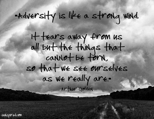Adversity is like a strong wind. It tears away from us all but the things that cannot be torn, so that we see ourselves as we really are. - Arthur Golden (2)