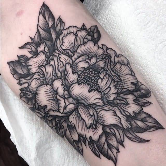 Black And Grey Dotwork Peony Flower Tattoo Design For Sleeve